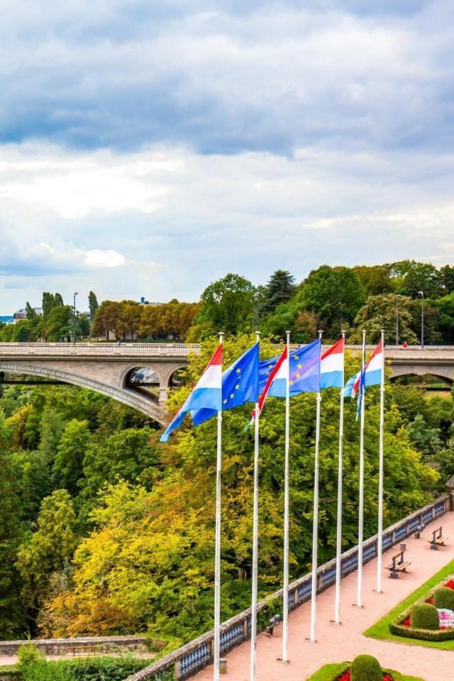 Panorama